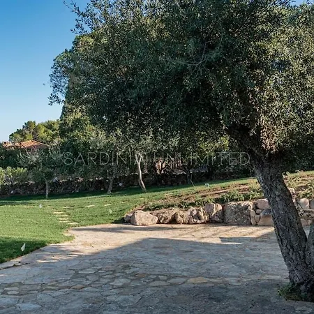 Il Richiamo Di Gallura * プンタルディア