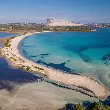 Il Richiamo Di Gallura