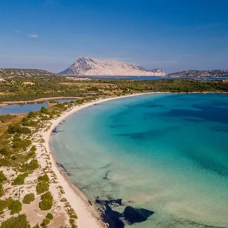 Il Richiamo Di Gallura プンタルディア