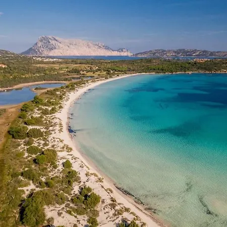Il Richiamo Di Gallura * プンタルディア