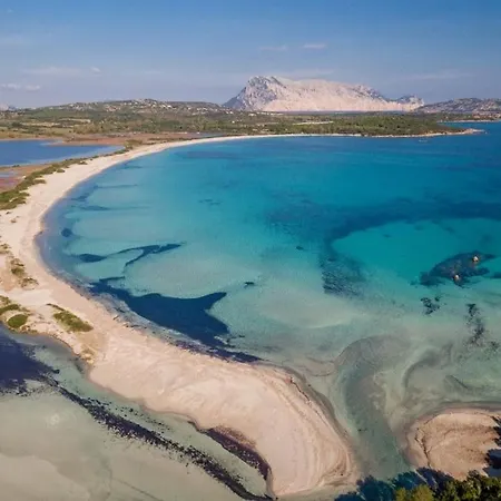Il Richiamo Di Gallura *