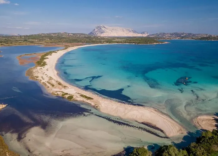 Il Richiamo Di Gallura