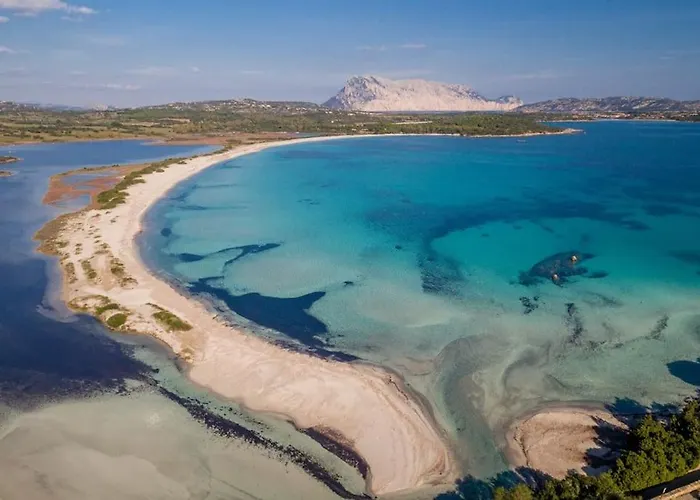 Il Richiamo Di Gallura *